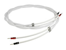 Chord Company / Sarum T Speaker Cable-Ohmicペア